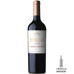 BENEGAS LYNCH Finca La Encerrada Cabernet Sauvignon 2017 (Magnum)